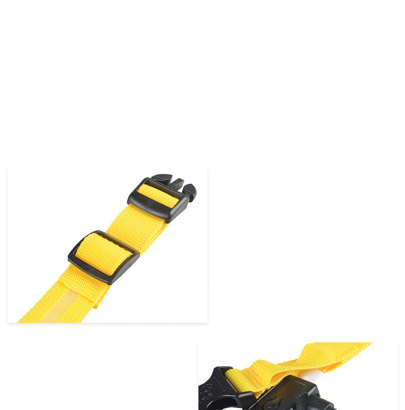 Collare luminoso a LED