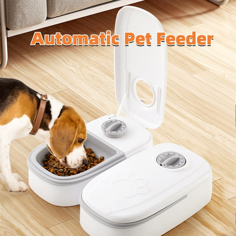 Distributore automatico di cibo per animali domestici, mangiatoia intelligente per gatti e cani con timer, ciotola in acciaio inox, alimentatore automatico per cani e gatti, accessori per animali domestici